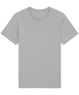 Rocker the essential unisex t-shirt (STTU758)