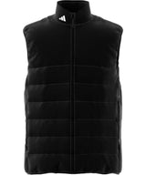 Puffy vest