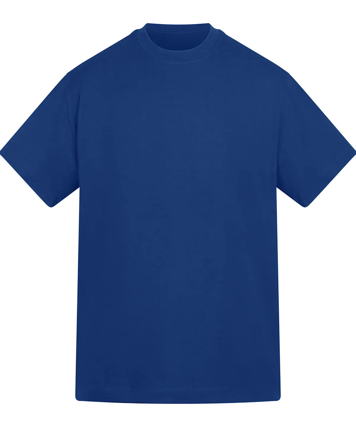 Anthem Amplify heavyweight t-shirt