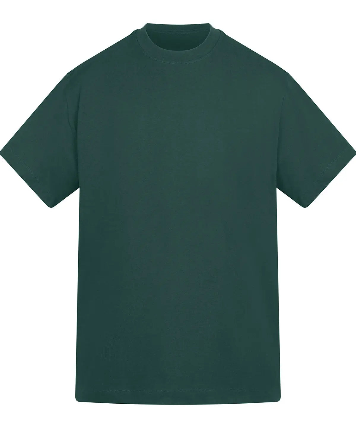 Anthem Amplify heavyweight t-shirt