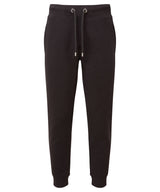 Anthem jog pants