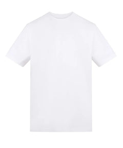Arctic White