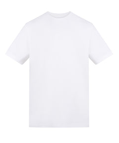Arctic White