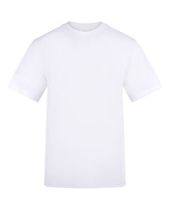 Arctic White*
