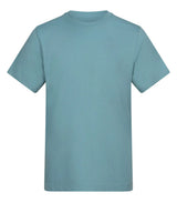 The AWDis 180 T