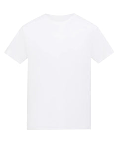 Arctic White