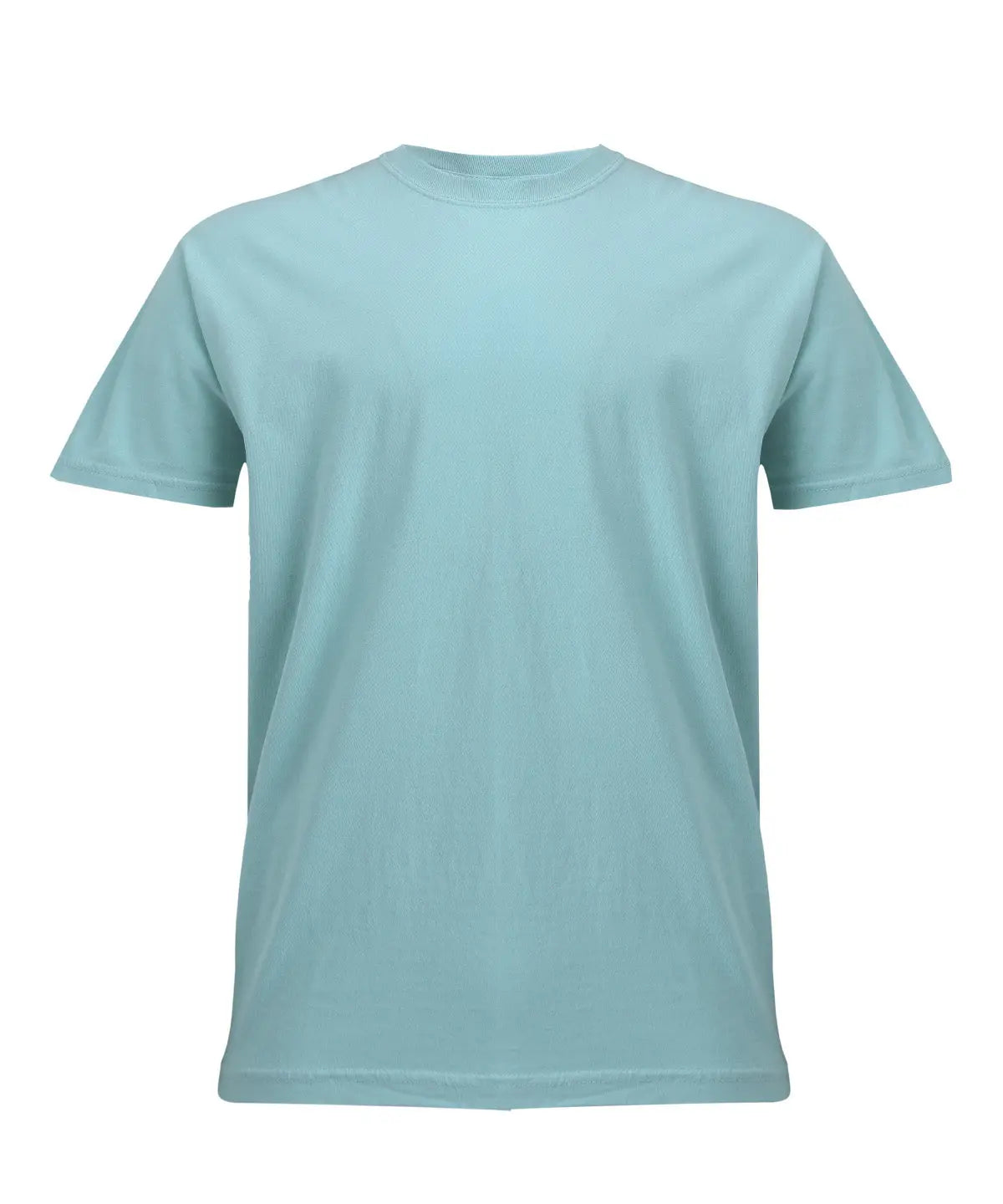 Heavyweight adult t-shirt