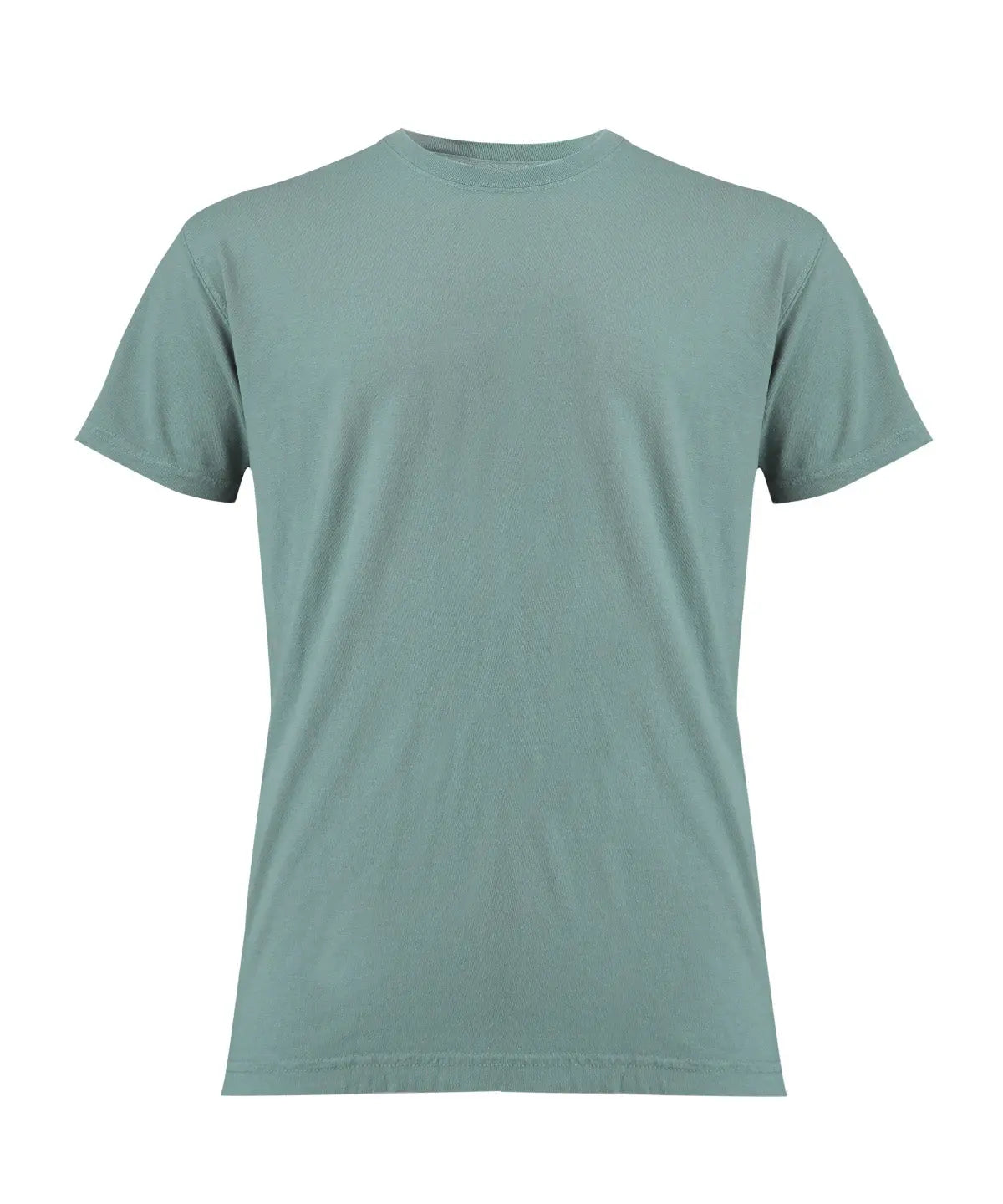 Heavyweight adult t-shirt