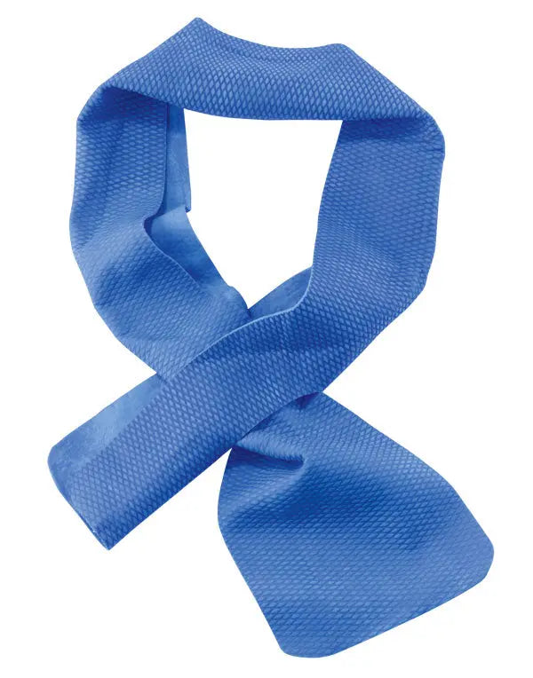 Ergodyne Chill Its Cooling Towel Cm X Cm Ey6603 - Blue 10X75CM - Customisable Miscellaneous