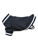 Dog’s varsity jacket