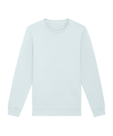 Roller unisex crew neck sweatshirt (STSU868)