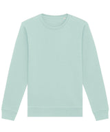 Roller unisex crew neck sweatshirt (STSU868)