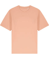 Freestyler relaxed heavy t-shirt (STTU788)
