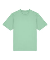 Freestyler relaxed heavy t-shirt (STTU788)