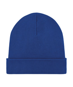 Worker Blue