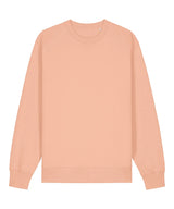 Unisex Changer 2.0 iconic crew neck sweatshirt (STSU178)