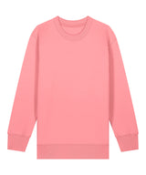 Kids Mini Changer 2.0 iconic crew neck sweatshirt (STSK181)
