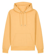 Unisex Cruiser 2.0 iconic hoodie sweatshirt (STSU177)