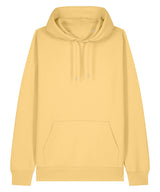 Unisex Cruiser 2.0 iconic hoodie sweatshirt (STSU177)