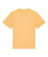 Unisex Sparker 2.0 heavy t-shirt (STTU171)