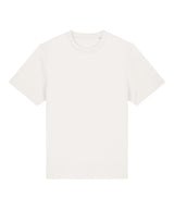 Unisex Sparker 2.0 heavy t-shirt (STTU171)
