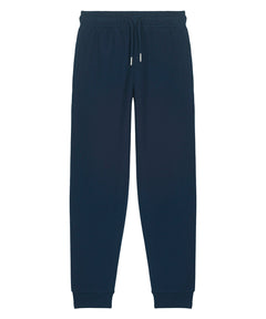 French Navy
